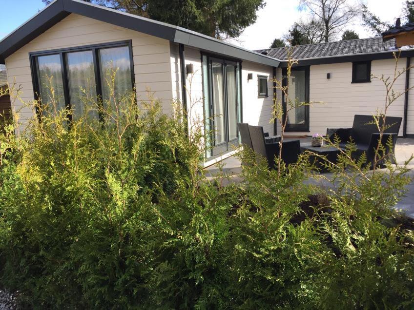 Huisjes Putten Reewold Chalet In Rustige En Mooie Omgeving Exteriör bild